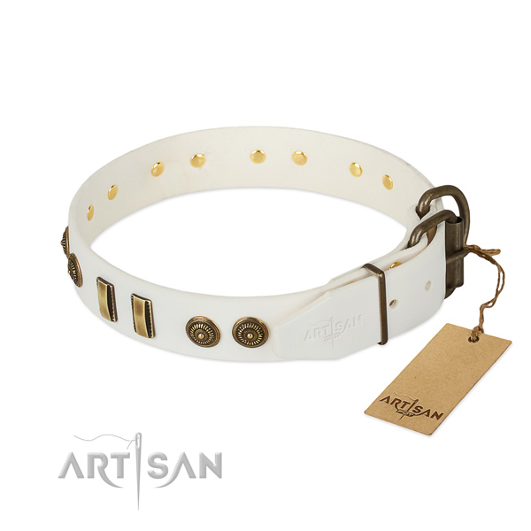 Durable decorations on full grain leather dog collar for your doggie