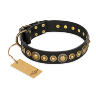"Gold Mine" FDT Artisan Black Leather Doberman Collar with Amazing Bronze-Plated Round Studs