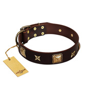 "Choco Dreams" FDT Artisan Brown Leather Doberman Collar with Squares and Stars