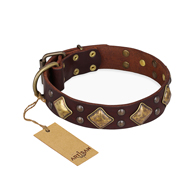 "Golden Square" FDT Artisan Brown Leather Doberman Collar with Large Squares