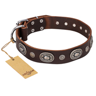 "Extra Pizzazz" FDT Artisan Adorned Brown Leather Doberman Collar