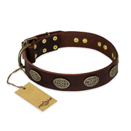"Chocolate kiss" FDT Artisan Leather Doberman Collar with Old Bronze Look Oval Plates