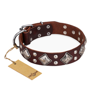 "King of Grace" FDT Artisan Stylish Leather Doberman Collar with Old Silver-Like Plated Decorations