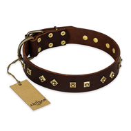 "Fashion Studs" FDT Artisan Decorated Leather Doberman Collar with Old Bronze-Plated Steel Hardware