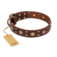"Caprice of Fashion" FDT Artisan Brown Leather Doberman Collar with Round Decorations