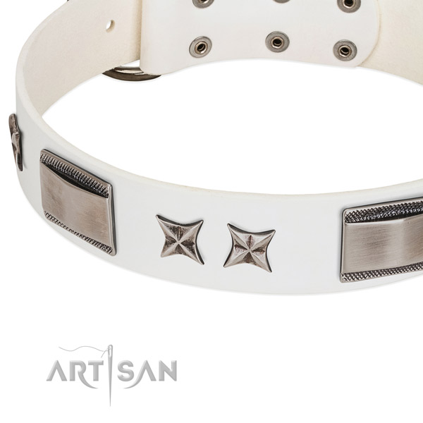 Top notch full grain natural leather dog collar with rust resistant fittings