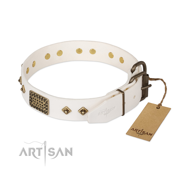 Full grain natural leather dog collar with durable hardware and studs