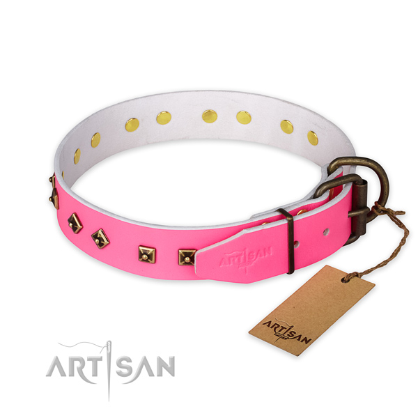 Rust resistant buckle on full grain leather collar for basic training your doggie