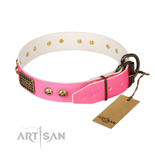 Durable embellishments on stylish walking dog collar