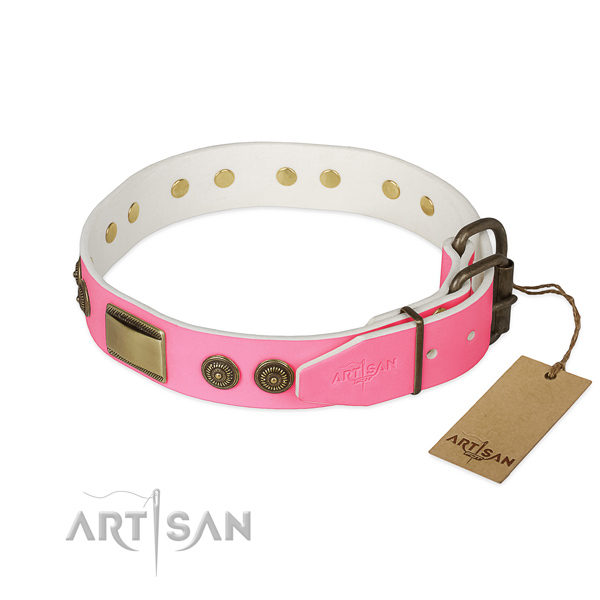 Durable adornments on walking dog collar