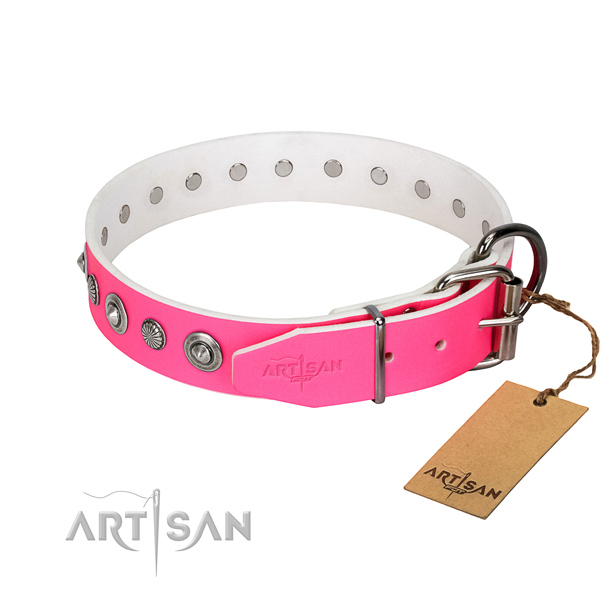 Durable full grain leather dog collar with incredible studs