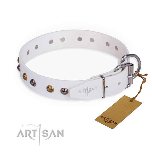 Natural leather dog collar with stylish corrosion resistant studs