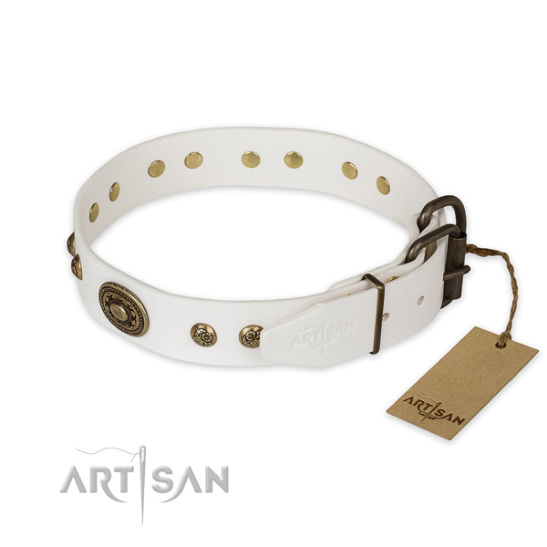 Rust resistant traditional buckle on natural genuine leather collar for daily walking your four-legged friend