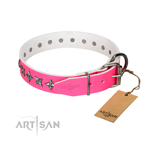 Strong full grain leather dog collar with awesome adornments