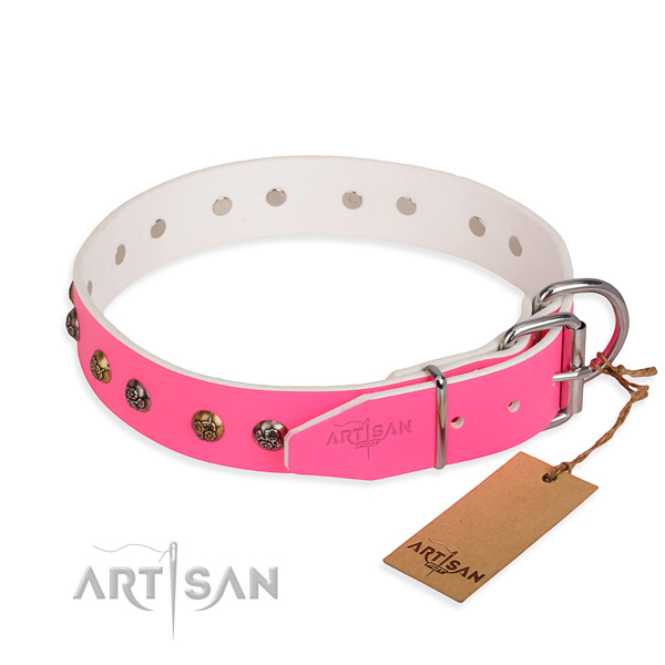Genuine leather dog collar with incredible rust-proof studs