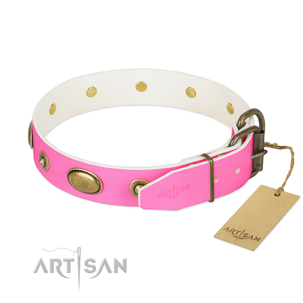 Rust-proof D-ring on leather dog collar for your canine