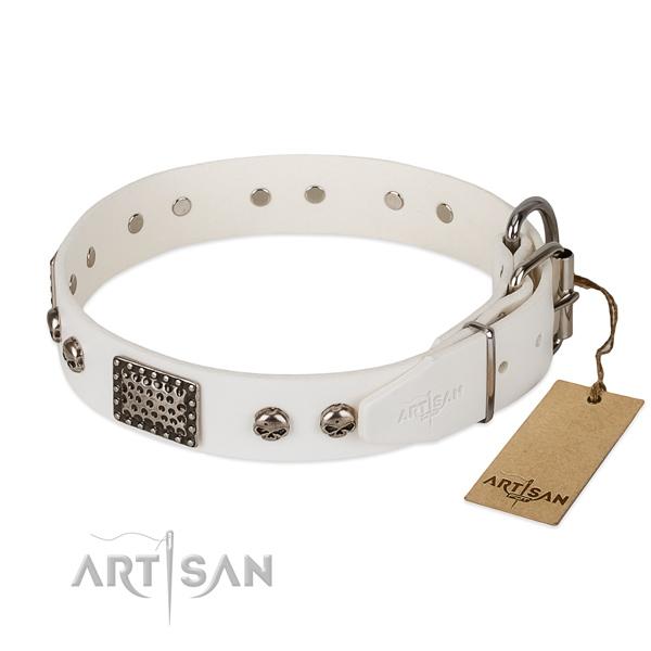 Strong buckle on handy use dog collar