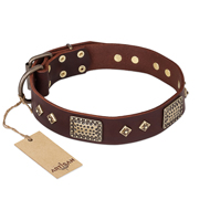"Loving Owner" FDT Artisan Decorated Leather Doberman Collar with Plates and Studs