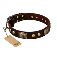 "Magic Amulet" Brown Leather Doberman Collar with Skulls and Plates
