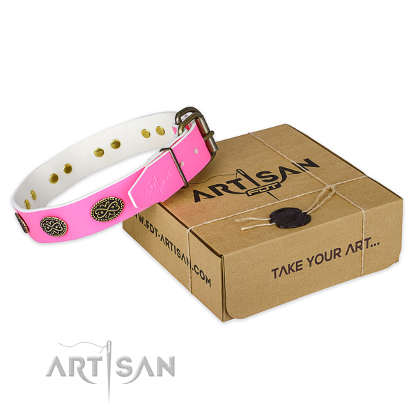Adorned full grain natural leather dog collar for daily walking