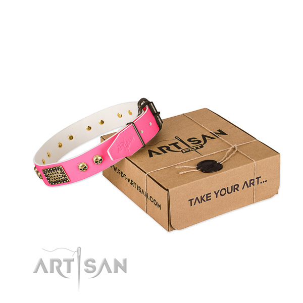 Corrosion resistant adornments on dog collar for daily use