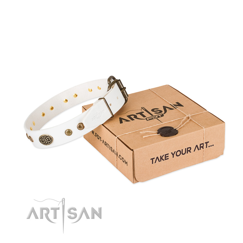 Corrosion proof buckle on genuine leather dog collar for your four-legged friend