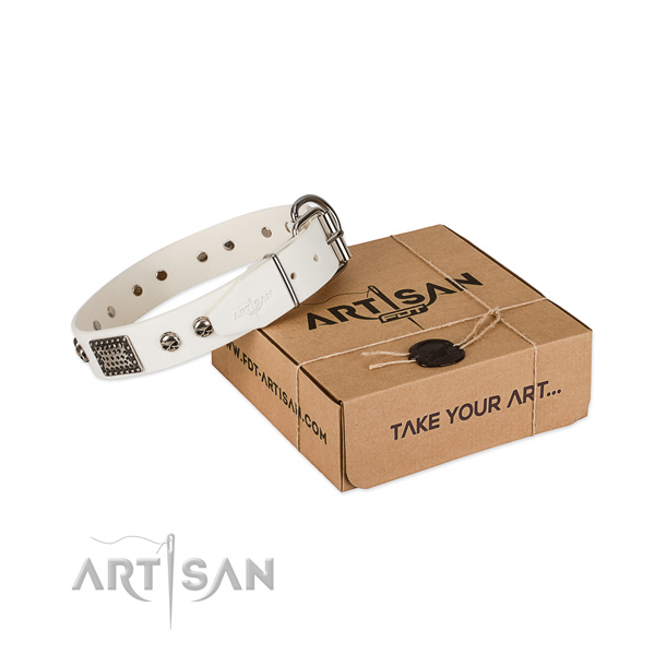 Rust resistant hardware on dog collar for stylish walking