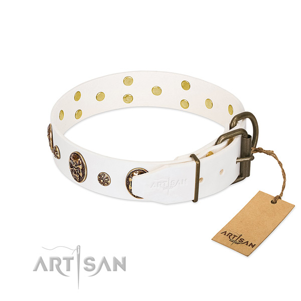 Rust-proof studs on full grain leather dog collar for your four-legged friend