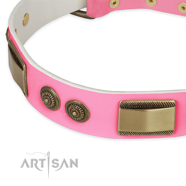 Leather dog collar with embellishments for everyday use