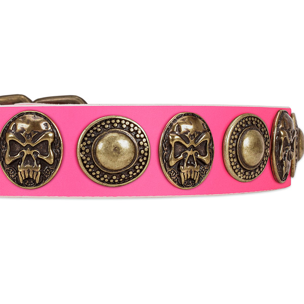Corrosion proof fittings on full grain genuine leather dog collar for your four-legged friend