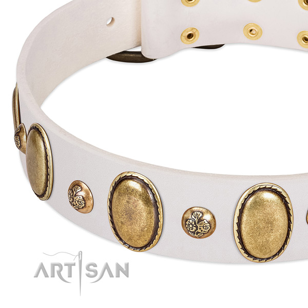 Natural leather dog collar with extraordinary decorations