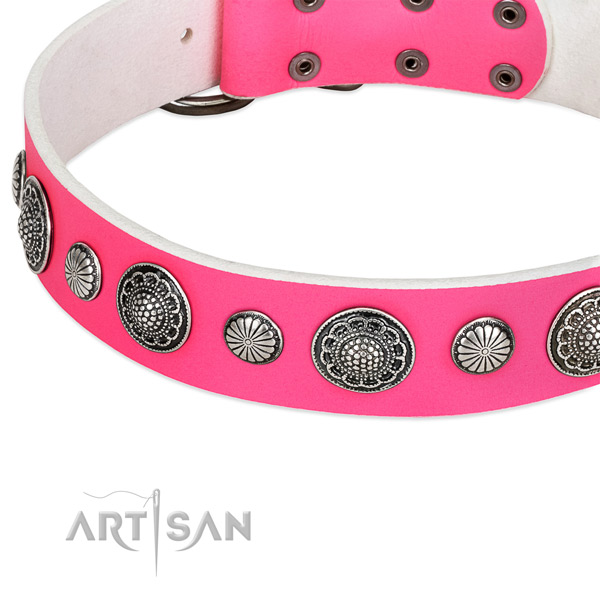 Genuine leather collar with rust-proof buckle for your impressive dog