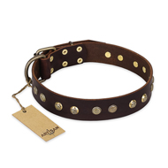 "Bronze Sheen" FDT Artisan Leather Doberman Collar with Brass-Plated Studs