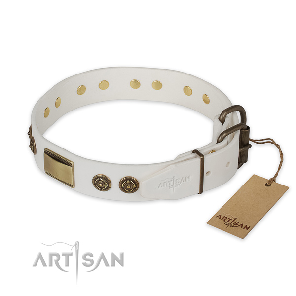 Strong traditional buckle on full grain leather collar for basic training your four-legged friend