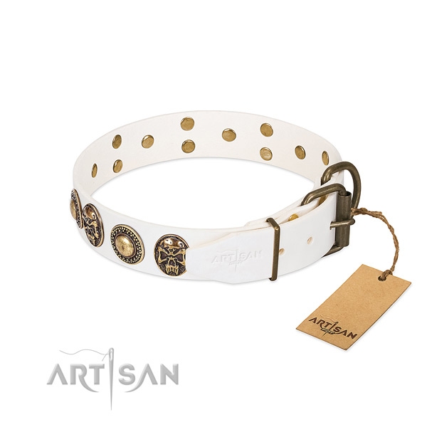 Rust-proof adornments on comfy wearing dog collar