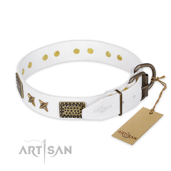 Corrosion resistant D-ring on leather collar for your attractive canine