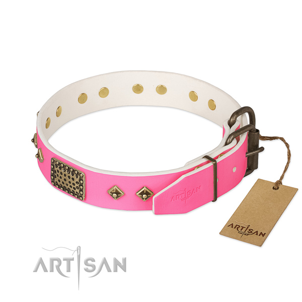 Reliable fittings on everyday use dog collar