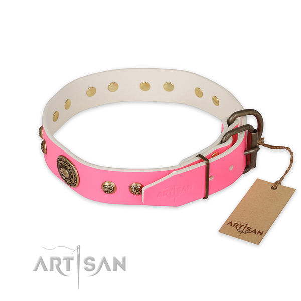 Strong hardware on full grain leather collar for walking your canine
