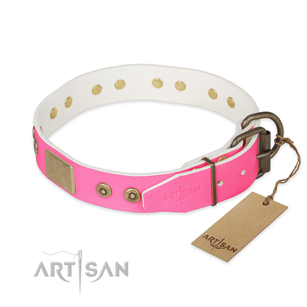 Rust-proof fittings on handy use dog collar