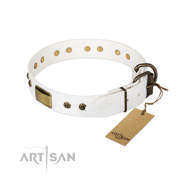 Full grain natural leather dog collar with rust-proof D-ring and studs