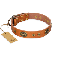 "Dandy Pet" FDT Artisan Handcrafted Tan Leather Doberman Collar