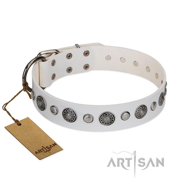 Soft to touch genuine leather dog collar with corrosion proof traditional buckle