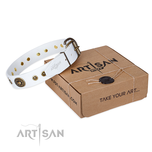 Full grain genuine leather dog collar made of reliable material with strong D-ring