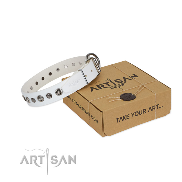 Top quality full grain genuine leather dog collar with impressive embellishments
