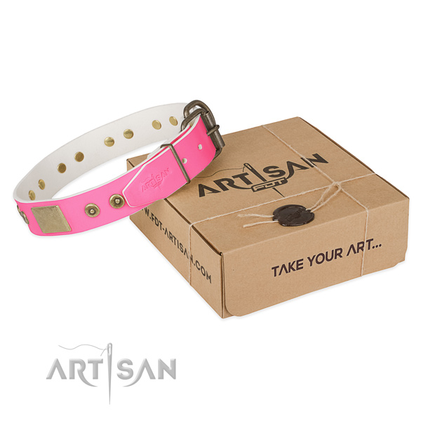 Rust-proof adornments on dog collar for easy wearing