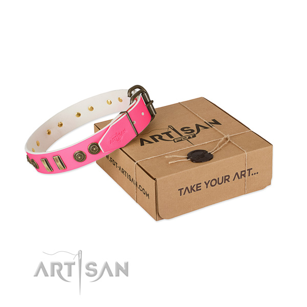 Rust resistant decorations on natural leather dog collar for your dog