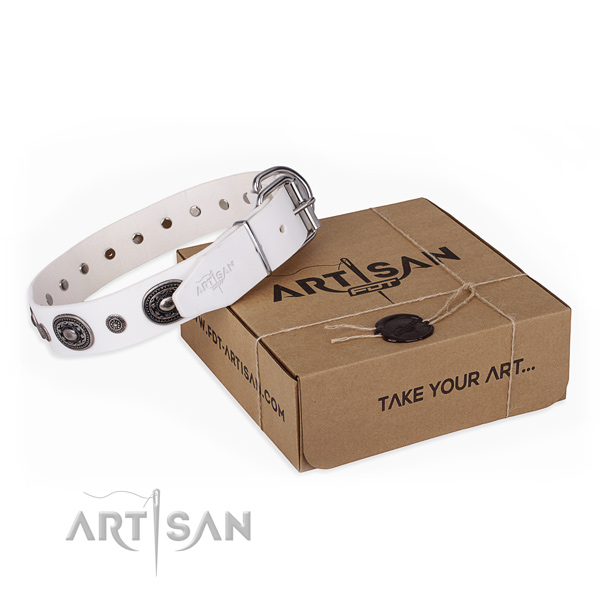 Top rate leather dog collar crafted for comfortable wearing