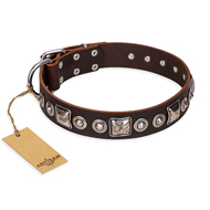 "Pierian spring" FDT Artisan Brown Leather Doberman Collar with Silvery Decorations