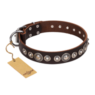 "Step and Sparkle" FDT Artisan Glamorous Studded Brown Leather Doberman Collar