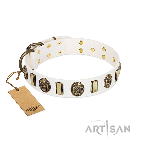 Designer full grain natural leather dog collar for everyday walking